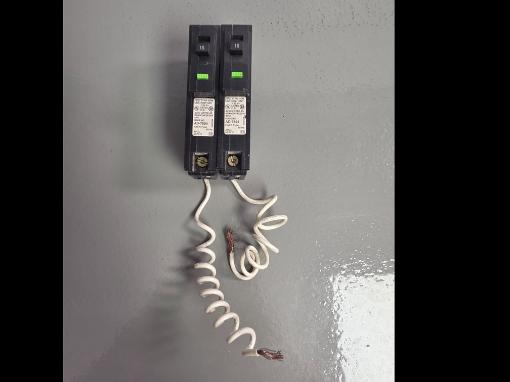 (2) D Type HOM 120-V Breakers