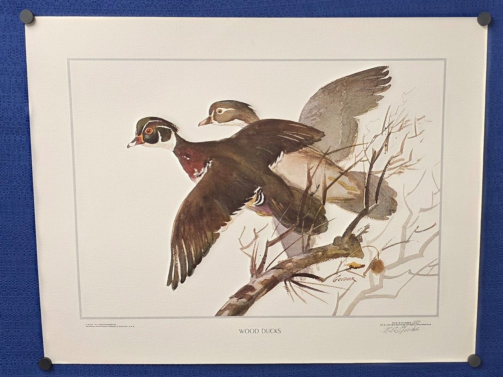 "WOOD DUCKS" by Wildlife Artist John A. Ruthven
