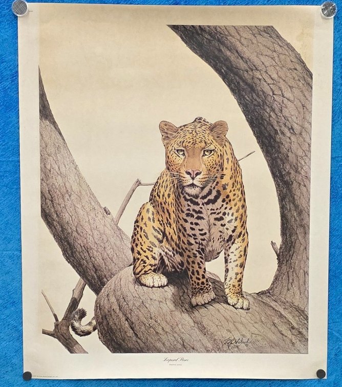  "Leopard Stare" by artist Guy Coheleach 