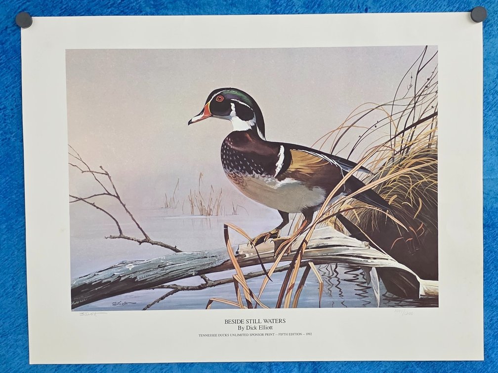"BESIDE STILL WATERS" by artist Dick Elliott