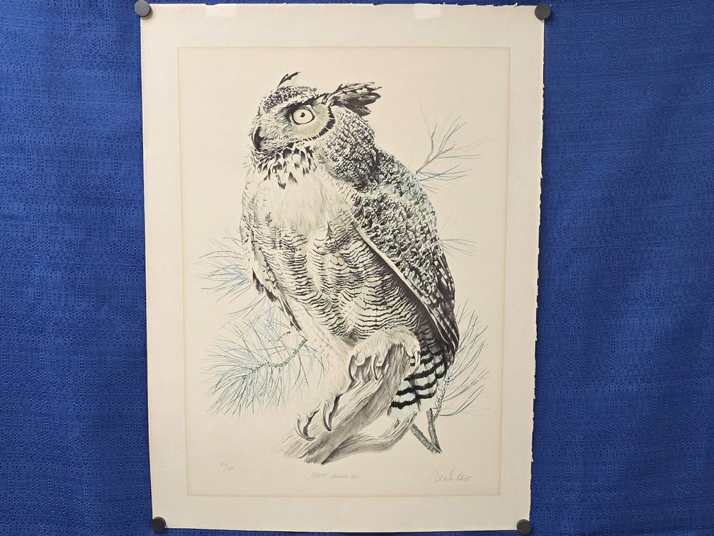 "Great Horned Owl" by artist Charles Rowe.