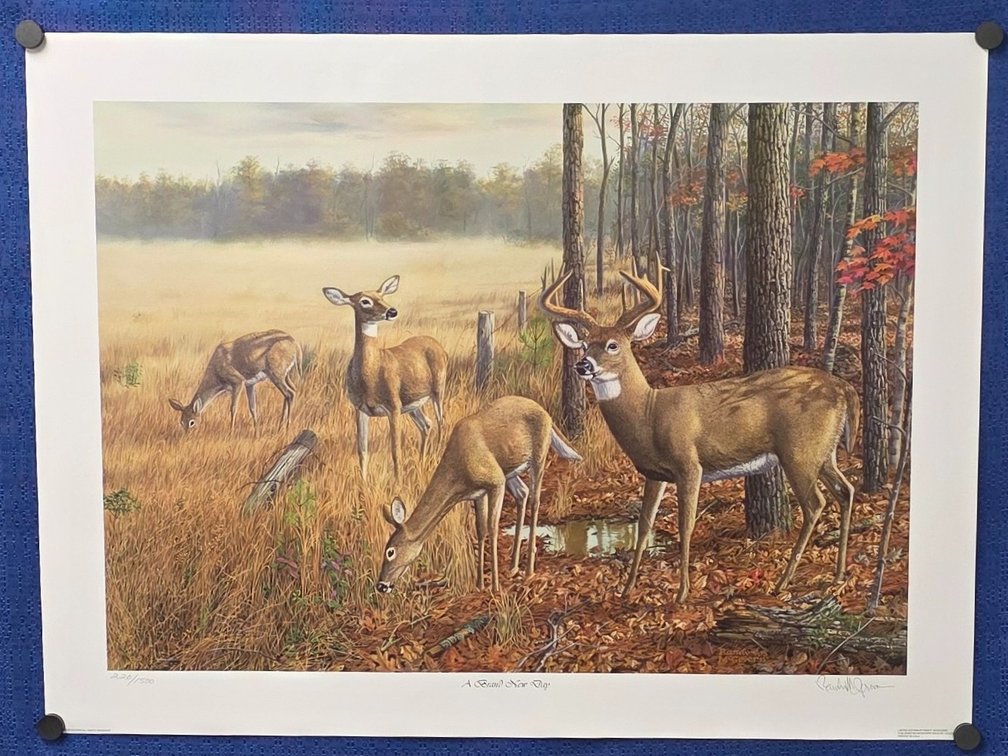 "A Brand New Day" by renowned wildlife artist Randy McGovern. 