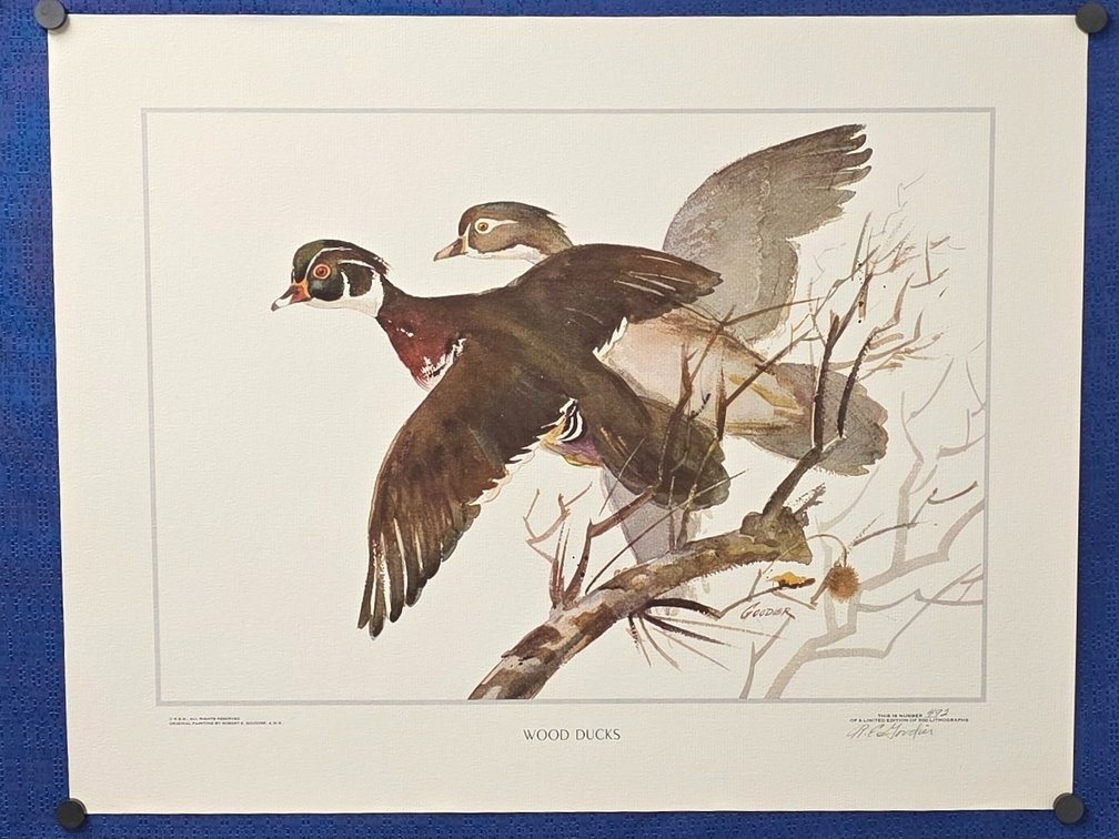 "WOOD DUCKS" by Wildlife artist John A. Ruthven