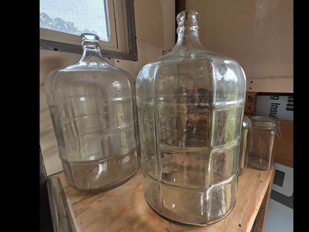 (3) 5-Gallon Carboys & More (LPO)