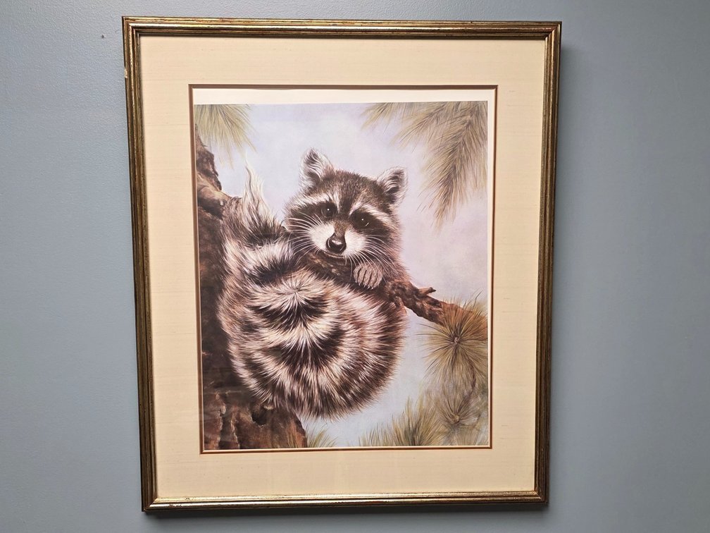 Charley Bandit Raccoon Just Hanging Around Art Print