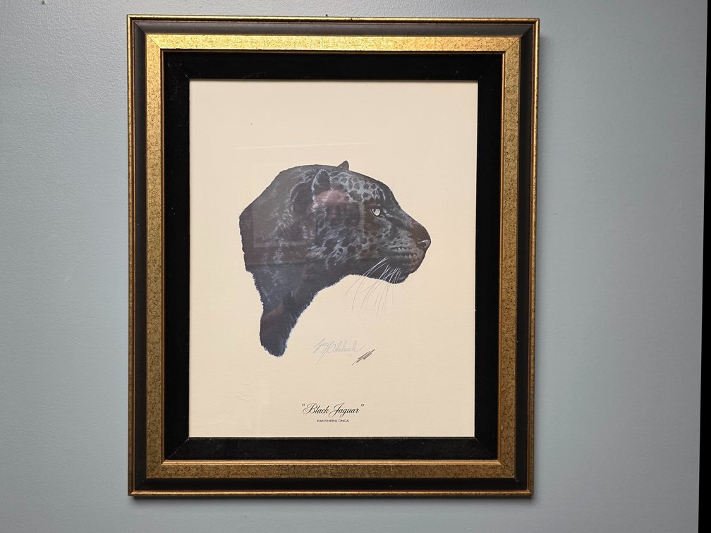 "Black Jaguar" by artist Guy Coheleach