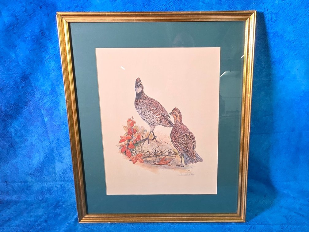 "Quail" by artist W.D. Gaither