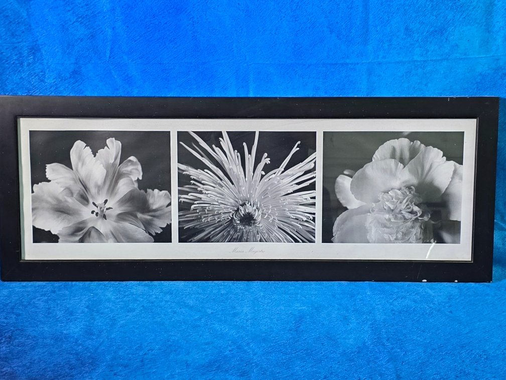 Black & White by Maria Magistro