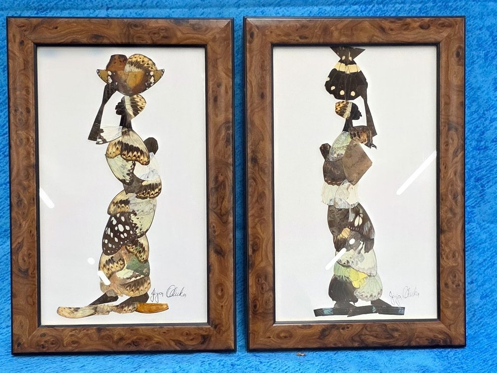 (2) Framed Butterflies from South Africa