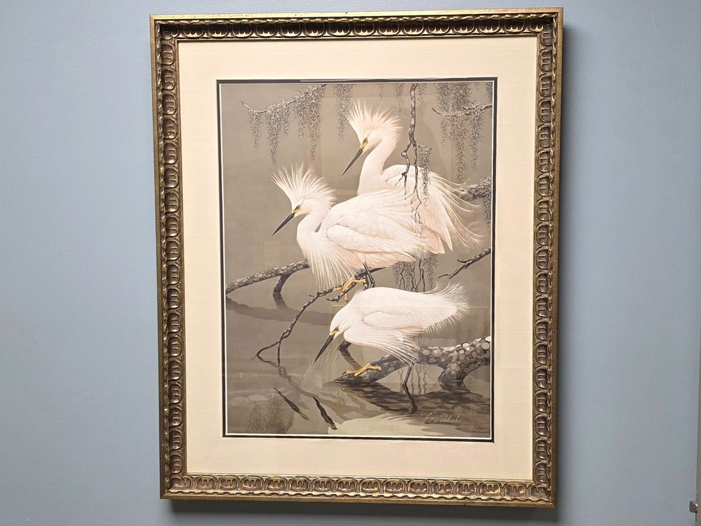 "Snowy Egrets" by artist Guy Coheleach