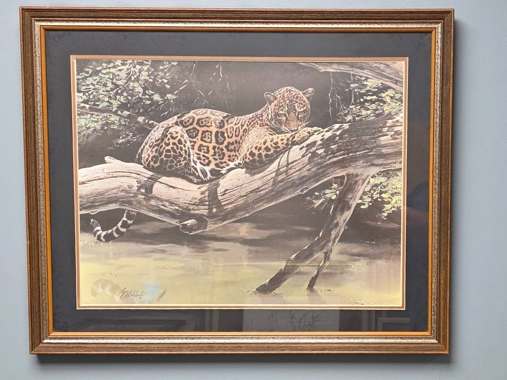 Jungle Jaguar by artist Guy Coheleach