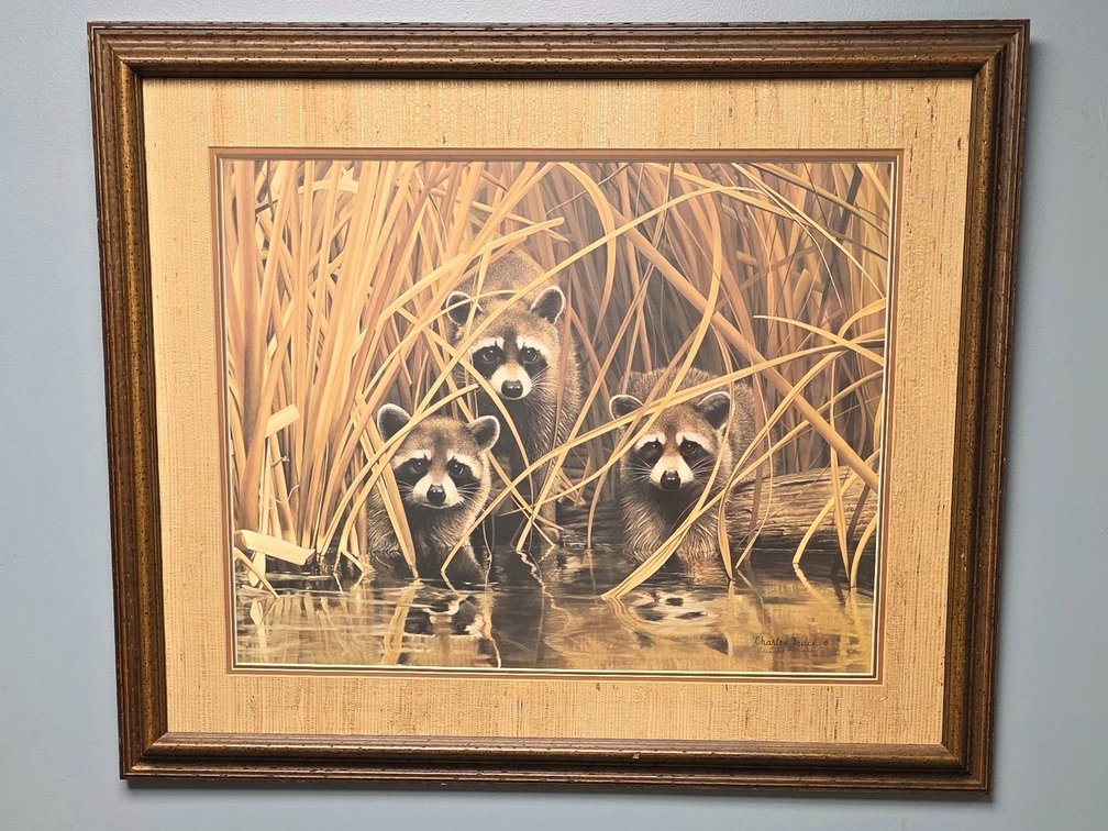 "Raccoons in Marsh" by artist Charles  Fracé