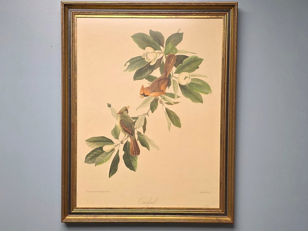 "Cardinal" No.2 Lithograph