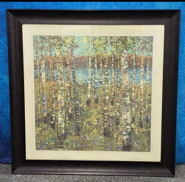 Framed Birch Trees Print