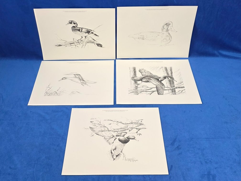 (5) Pencil Studies by Ducks Unlimited Sponsor Art Series