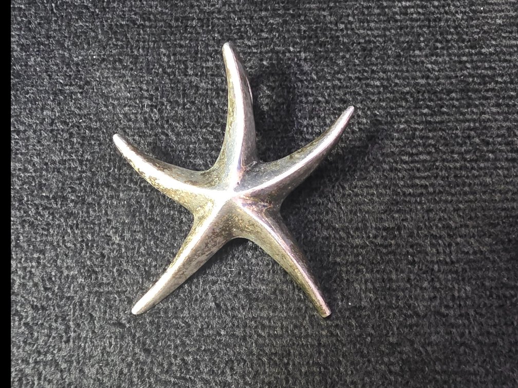 Starfish Pendant (Marked Sterling Silver)