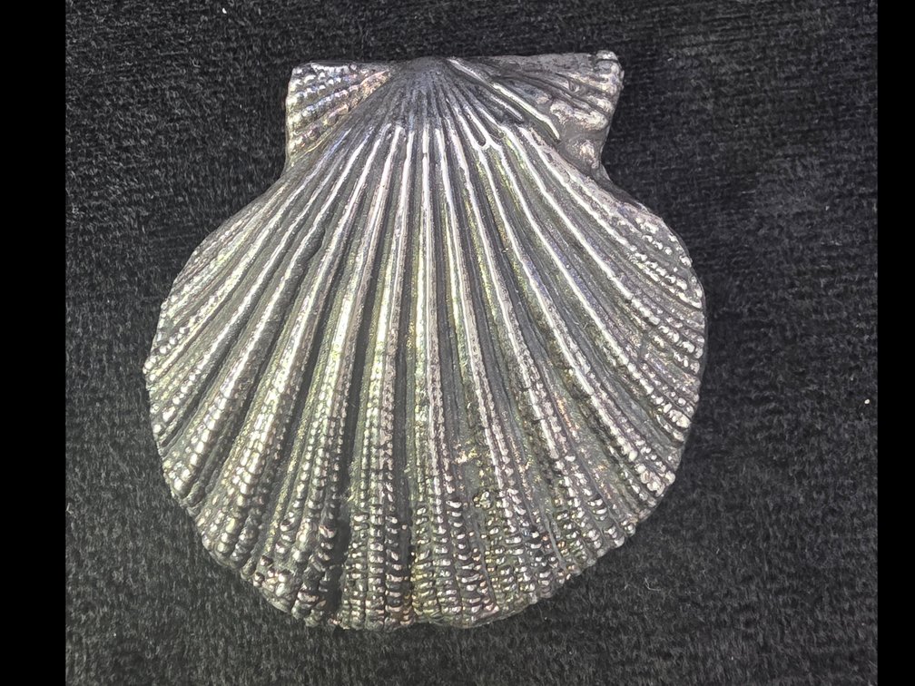 Sea Shell Pendant (Marked Sterling Silver)