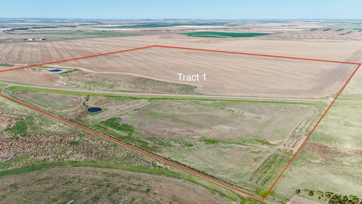 Tract 1 (152 Acres +/-)