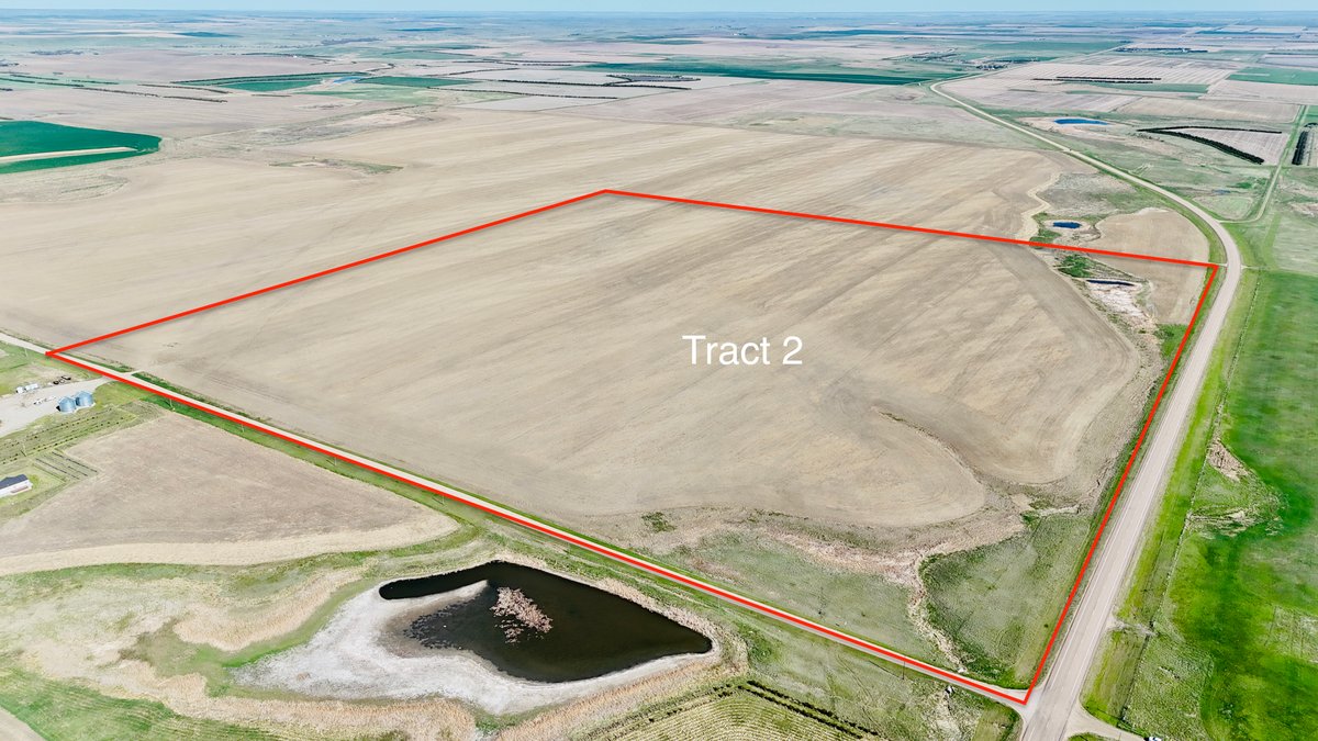 Tract 2 (160 Acres +/-)