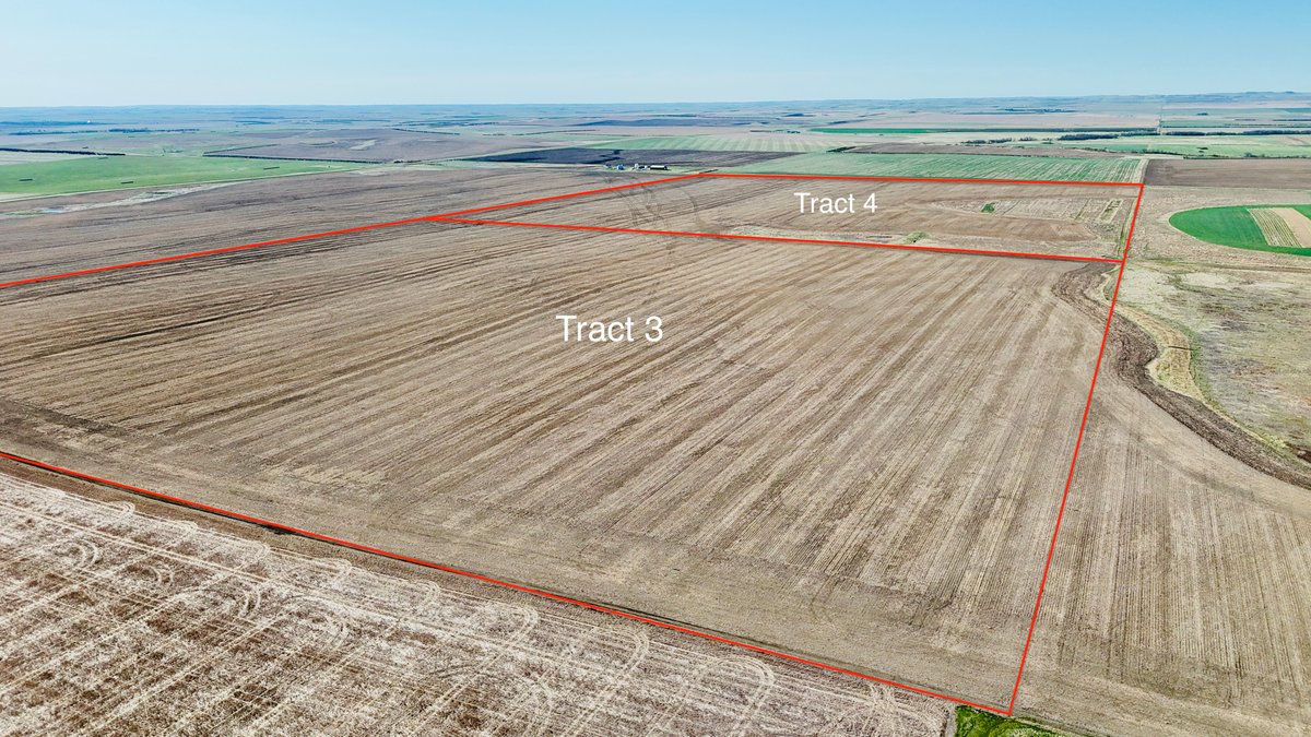 Tract 4 (160 Acres +/-)