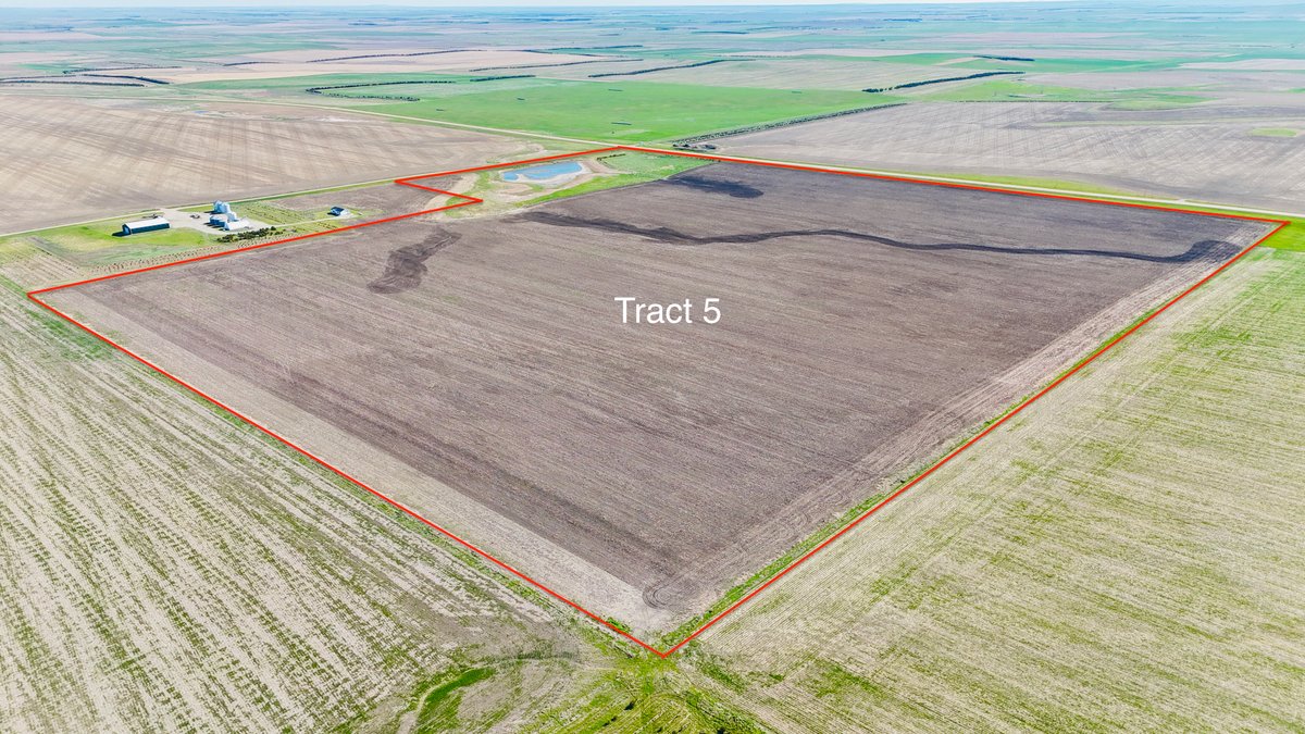 Tract 5 (135.4 Acres +/-)