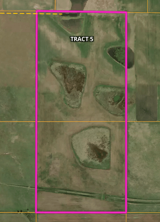 Tract 5 (350.89 Acres +/-)