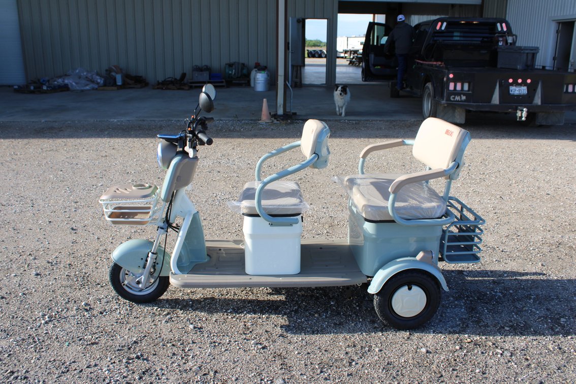 2026 SDLanch 3 Wheel Electric Cart - IRGC40