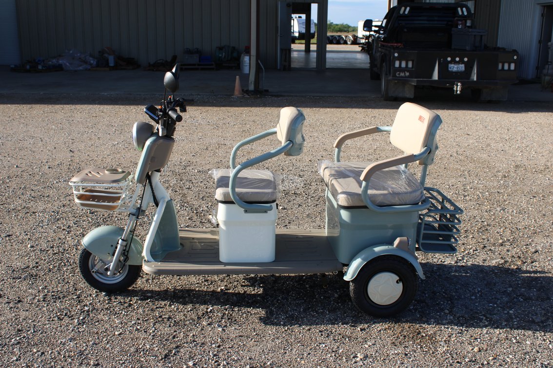 2026 SDLanch 3 Wheel Electric Cart - IRGC40