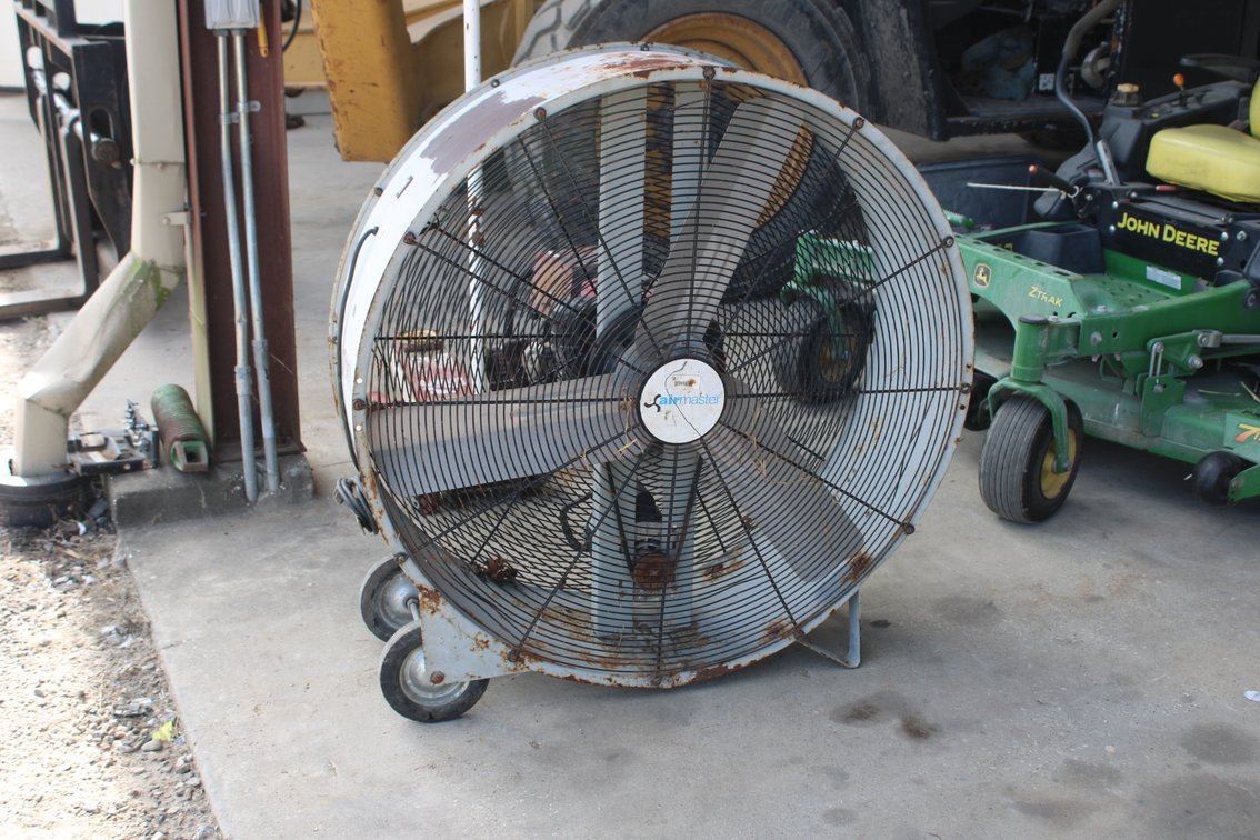 Fan
