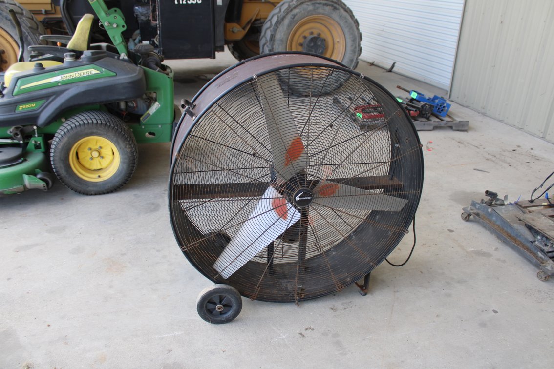 Fan