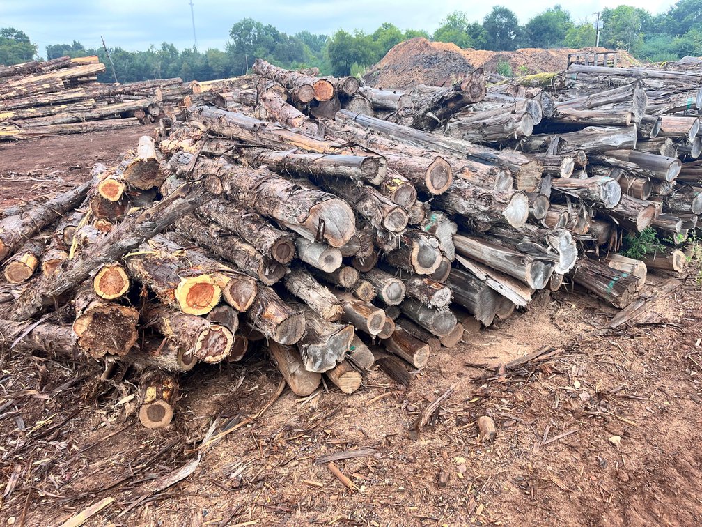 7’ round cedar posts 4-6” tops (100 pcs.)