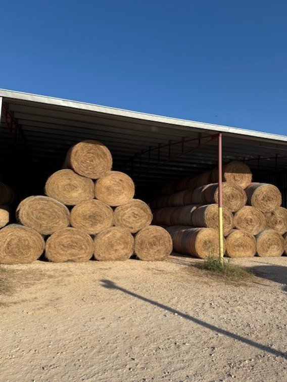 100 Rolls Fertilized Bahia Hay