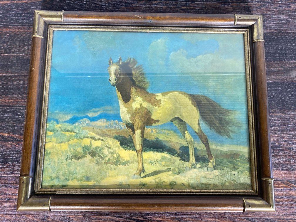 Horse photo