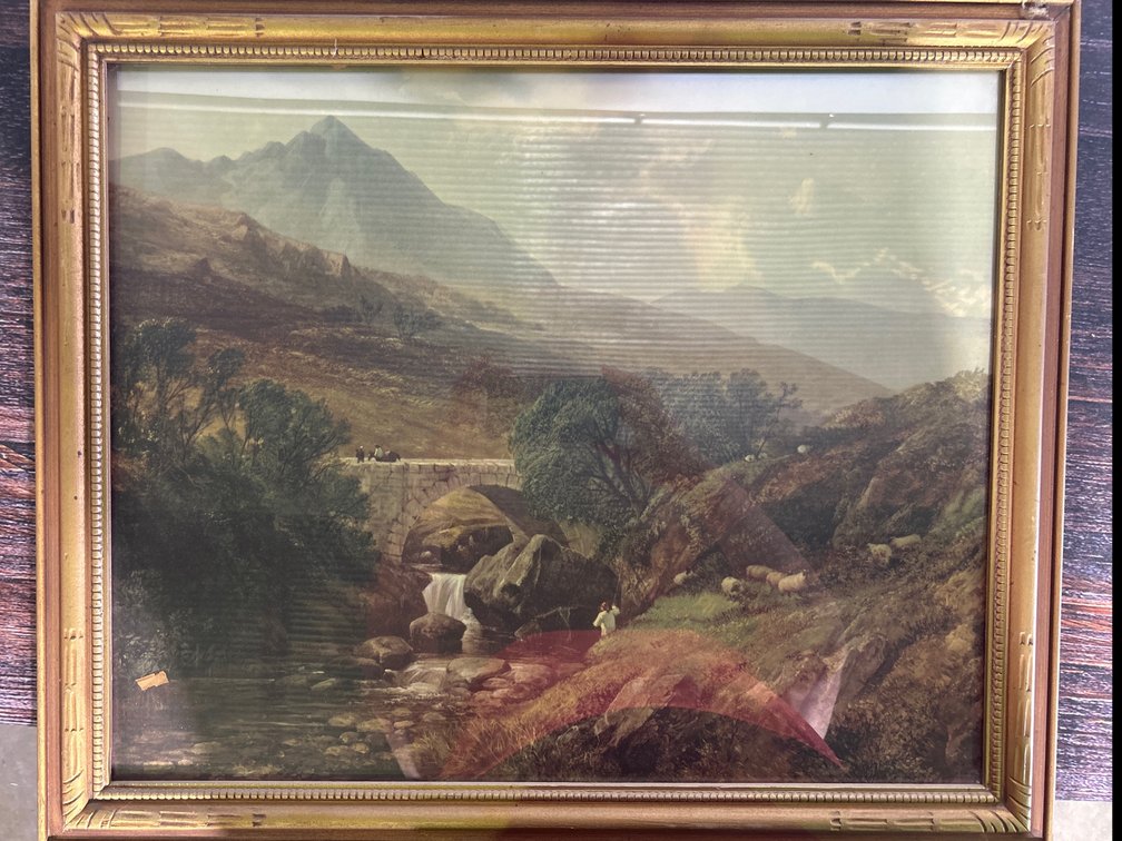 Mountainside sheep picture