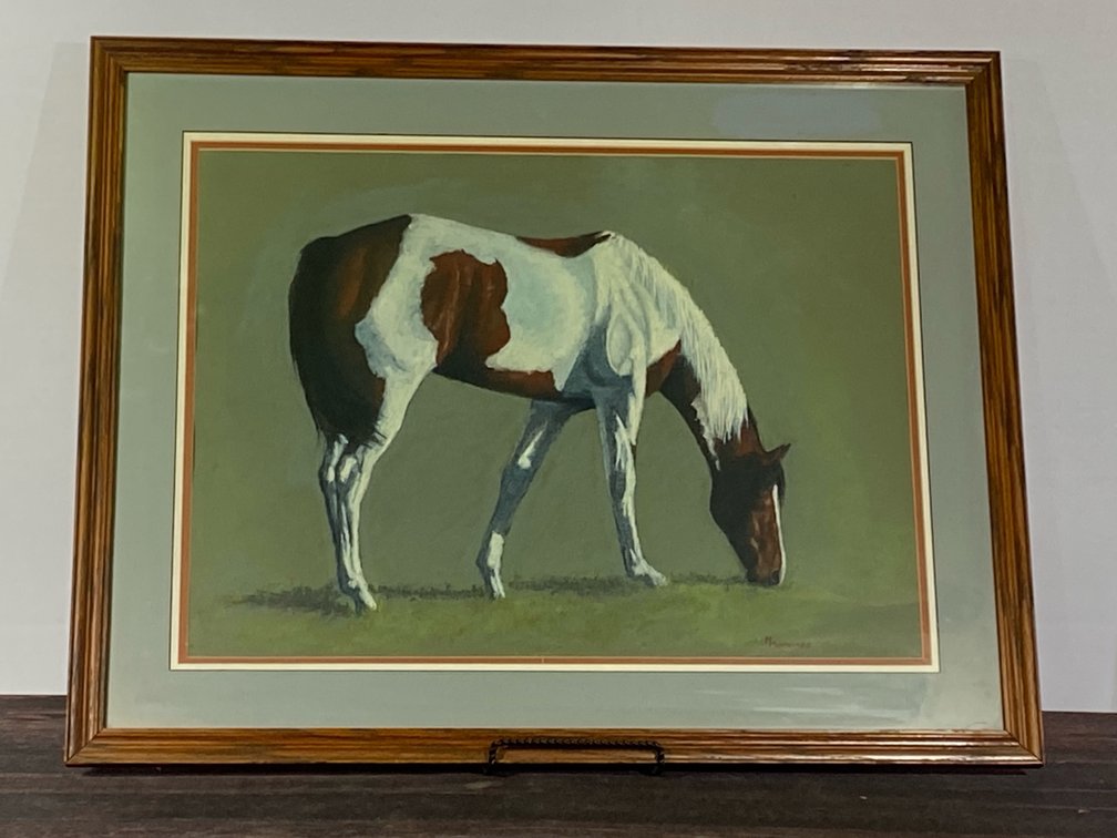 Horse picture