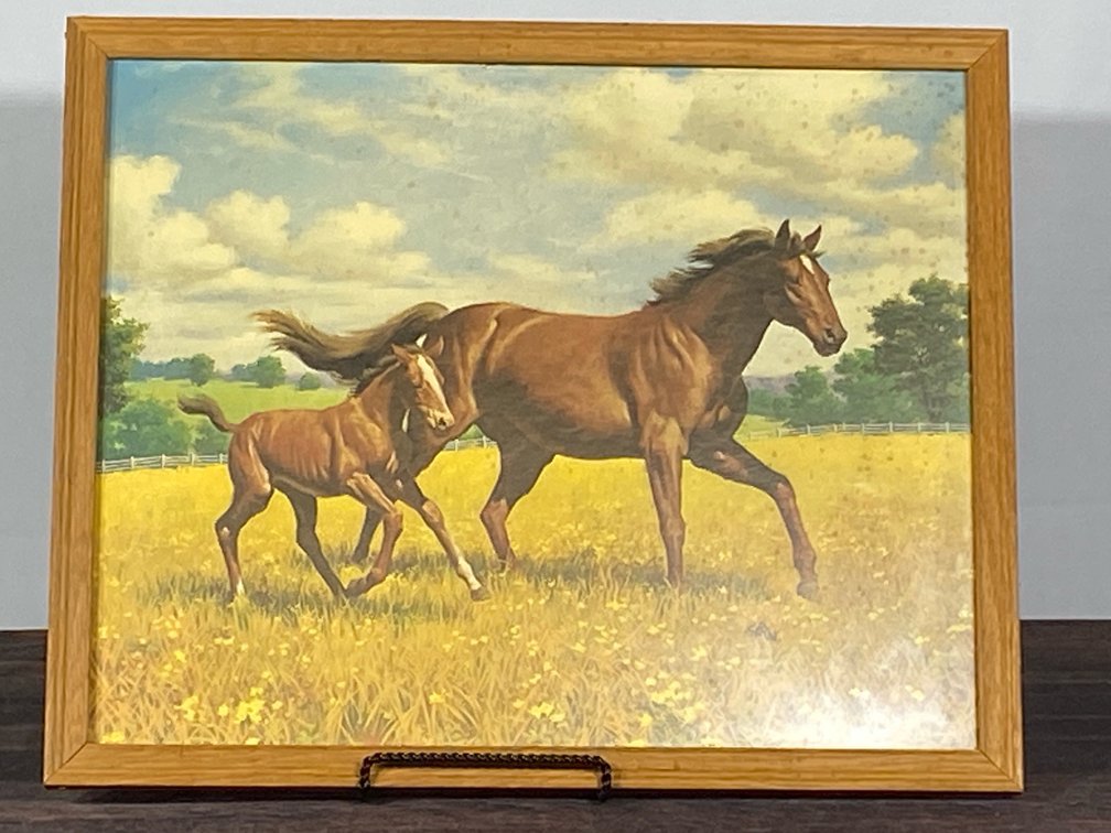 Running horses picture