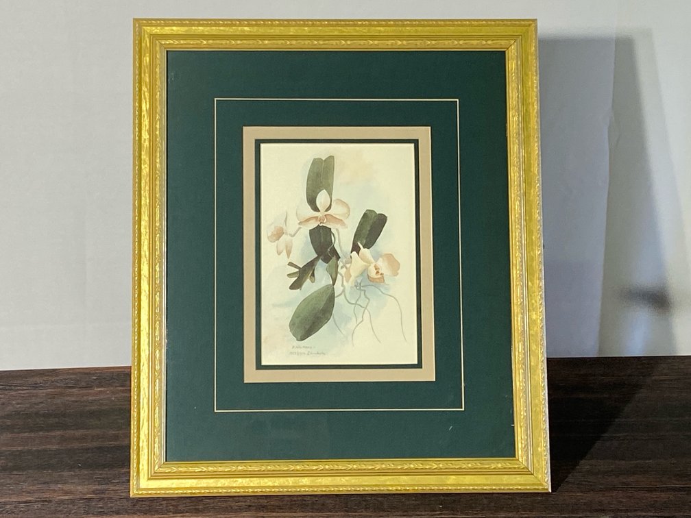 D. Nichols flower painting print