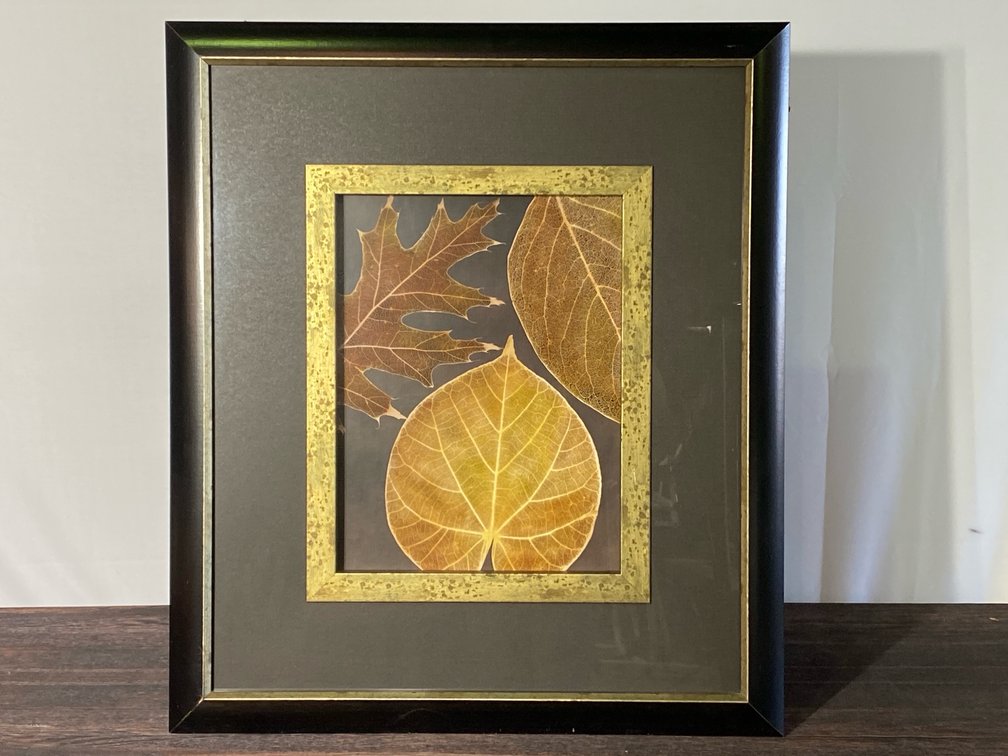 Fall Leaves photo