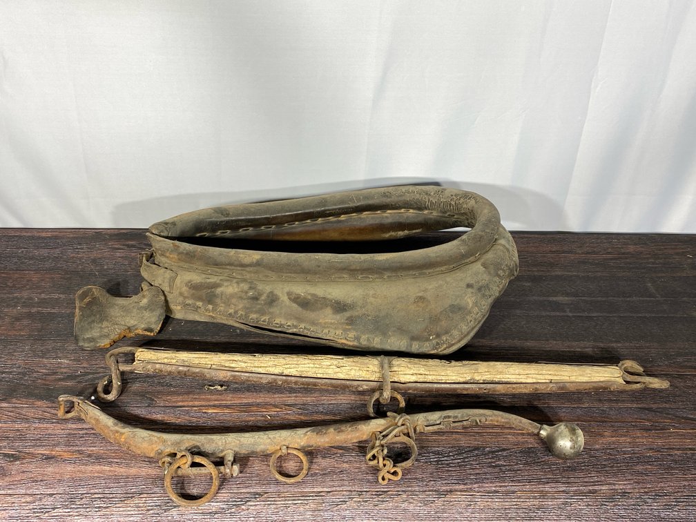 Yoke Collar and Harness Hames