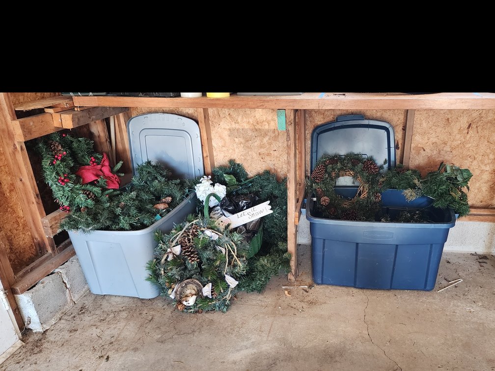 CHRISTMAS LIGHTS & GREENERY