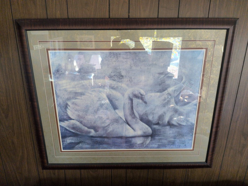 SWAN WALL ART