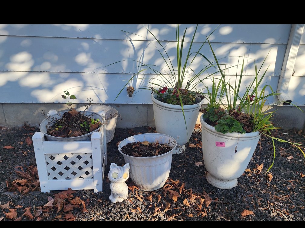 FLOWER POTS
