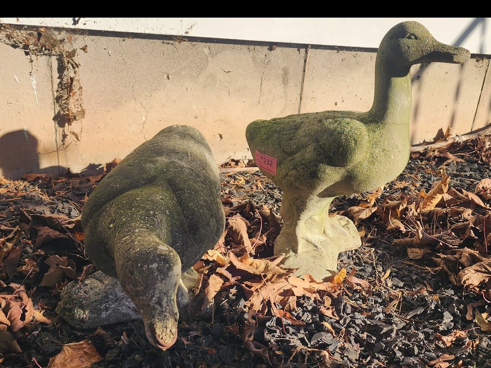 CONCRETE DUCKS