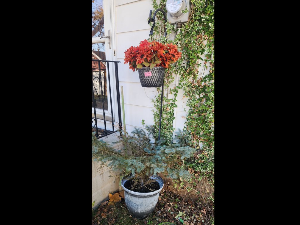 SHEPPARDS HOOK & POT