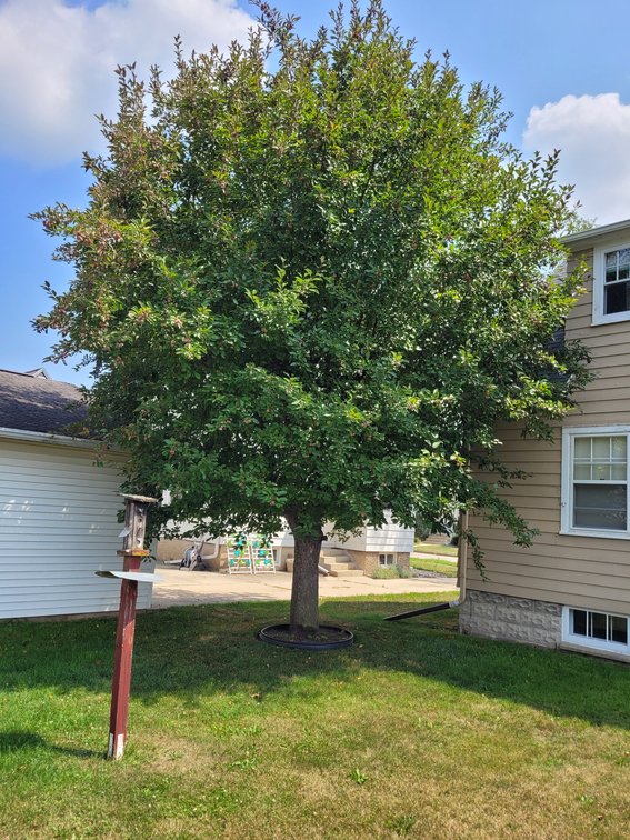 Image for 608 Roosevelt Str., Waupun, WI 53963 Home For Sale