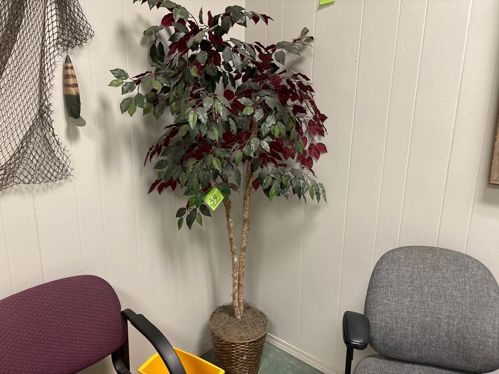 Fake Plant