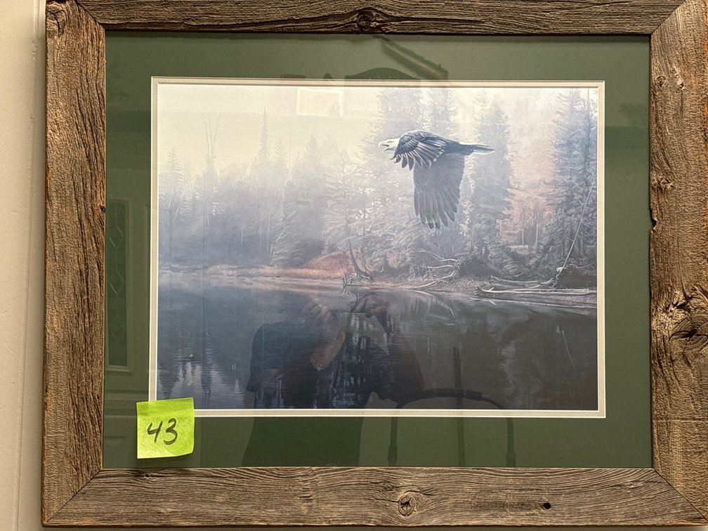 Framed Eagle Picture