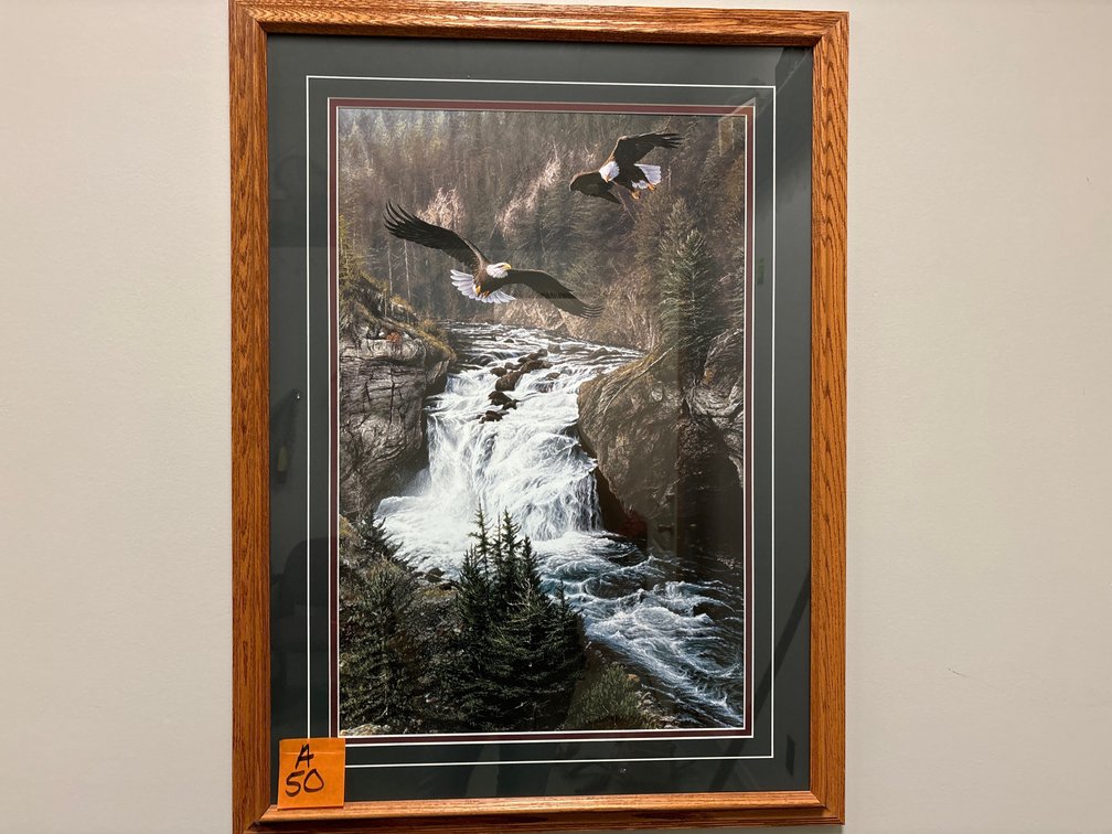 Eagle Picture