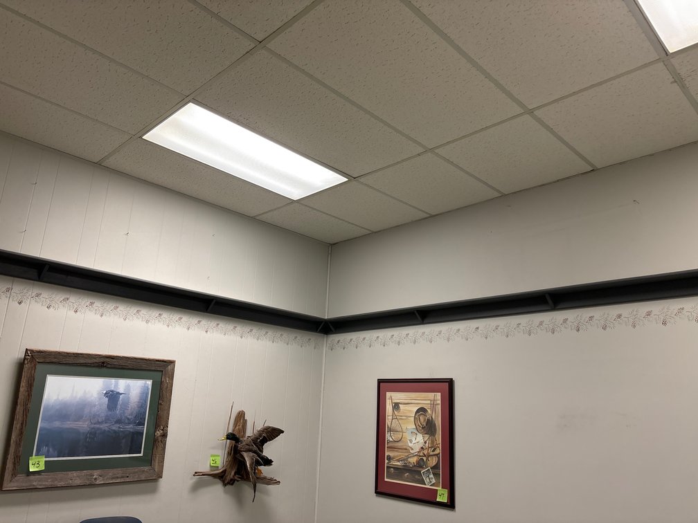 Display Shelves