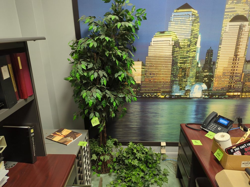 (2) Fake Plants
